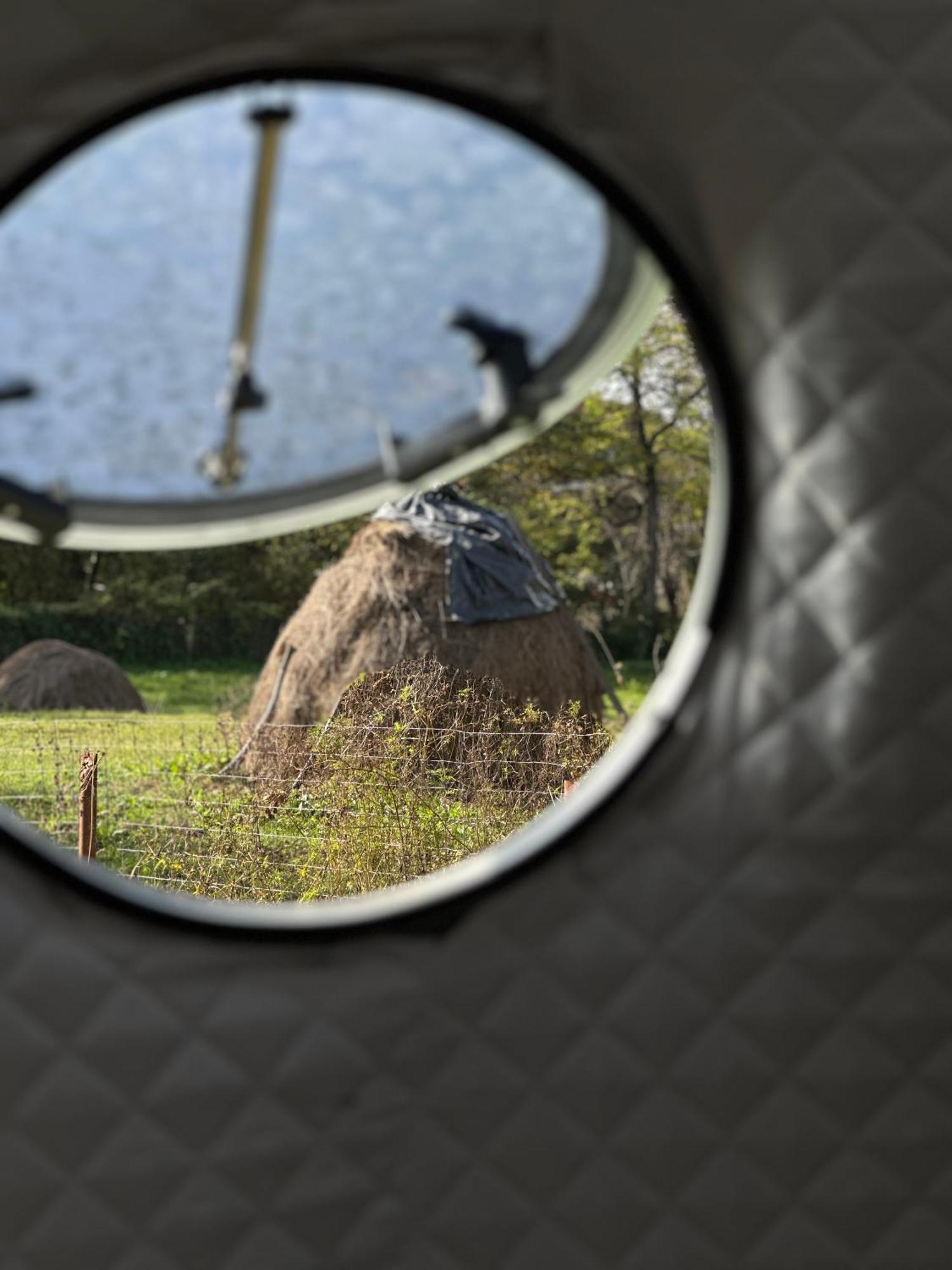 The Frog Glamping Hotel Horezu Exterior photo